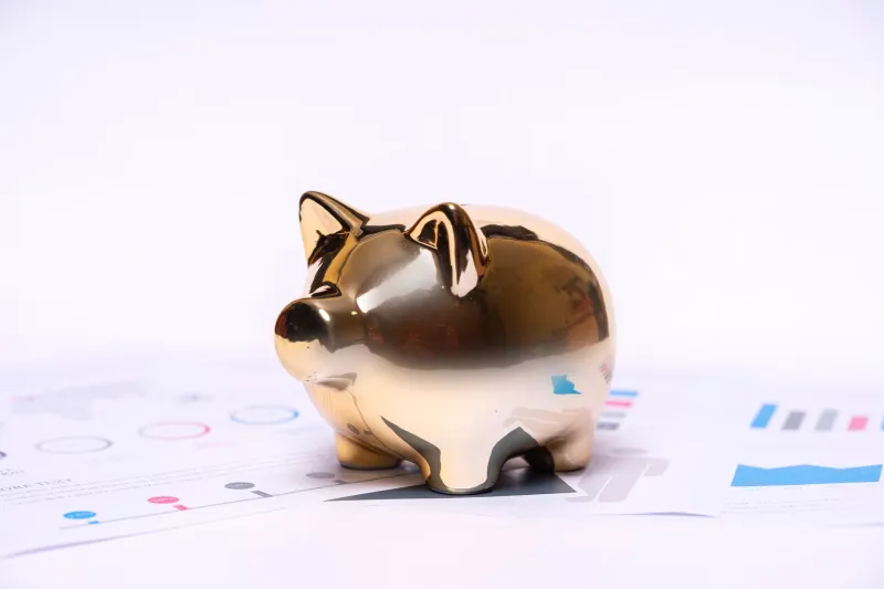 Chasing Yield in the Dark: How America's Public Pensions Traded Safety for Survival